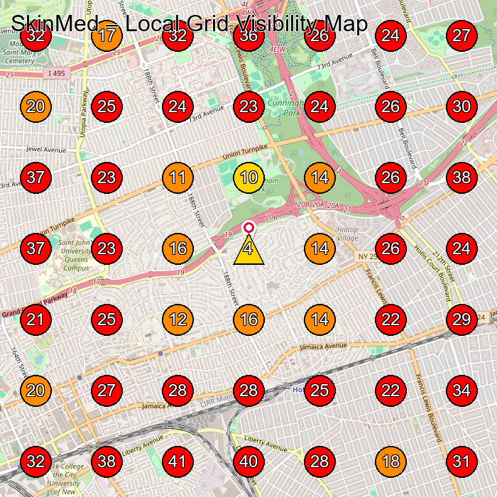 SkinMed GeoGrid visibility map for Medical Spa in Queens